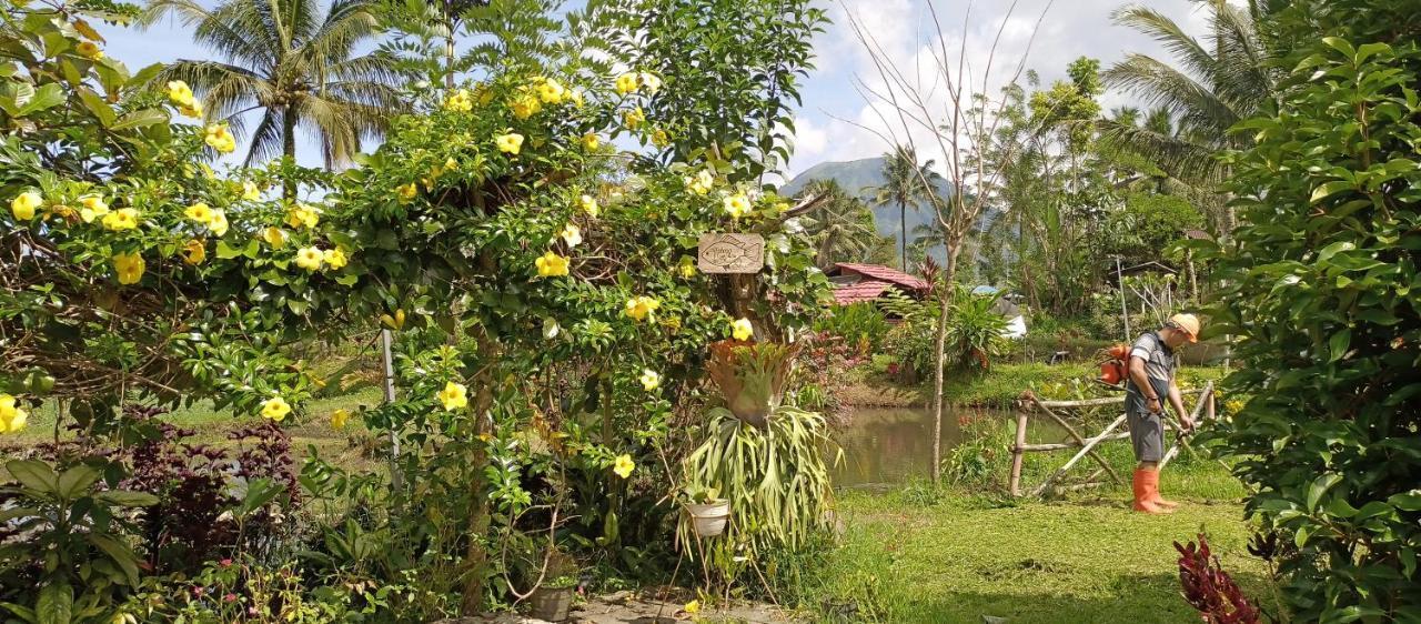 Talaga Tomohon Home Stay And Fishing Pond Exteriör bild