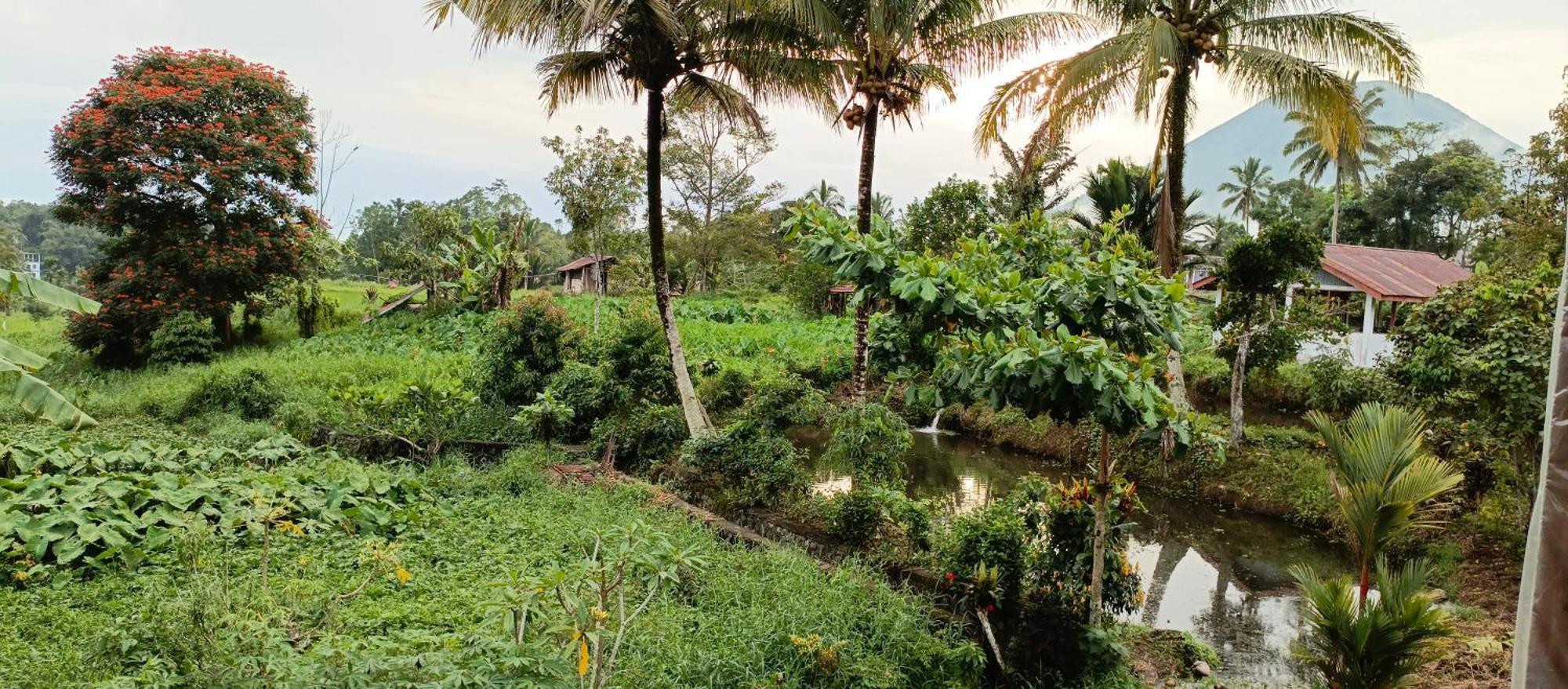 Talaga Tomohon Home Stay And Fishing Pond Exteriör bild
