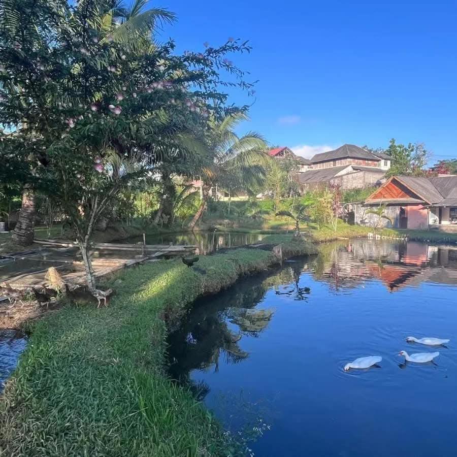 Talaga Tomohon Home Stay And Fishing Pond Exteriör bild