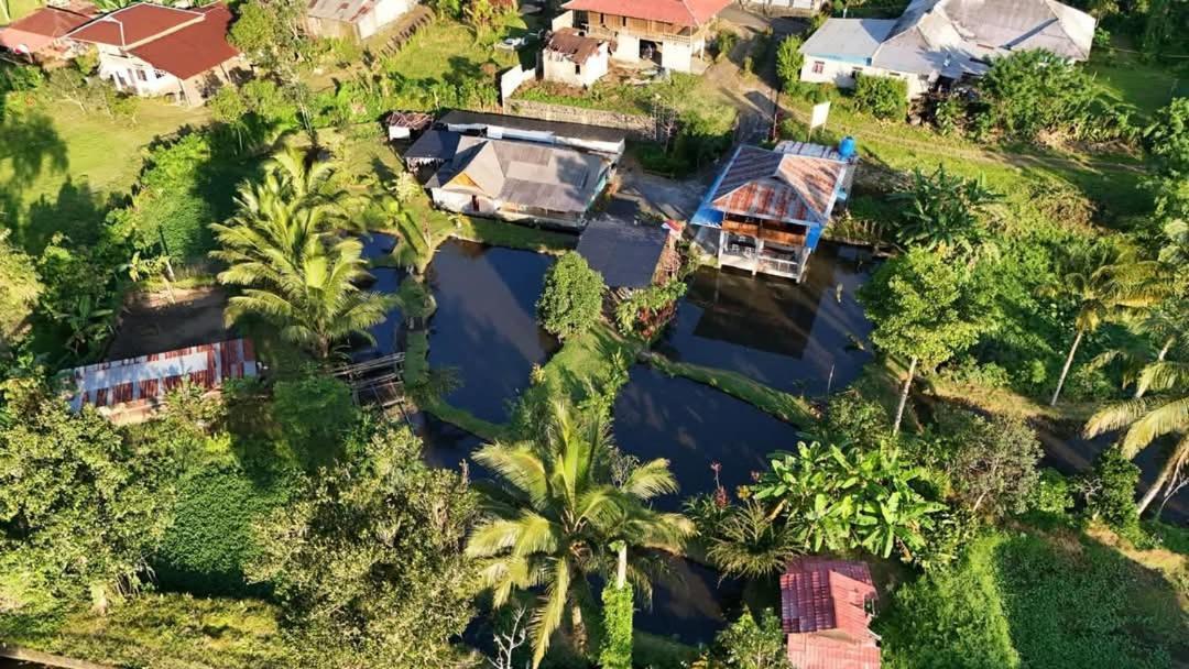 Talaga Tomohon Home Stay And Fishing Pond Exteriör bild